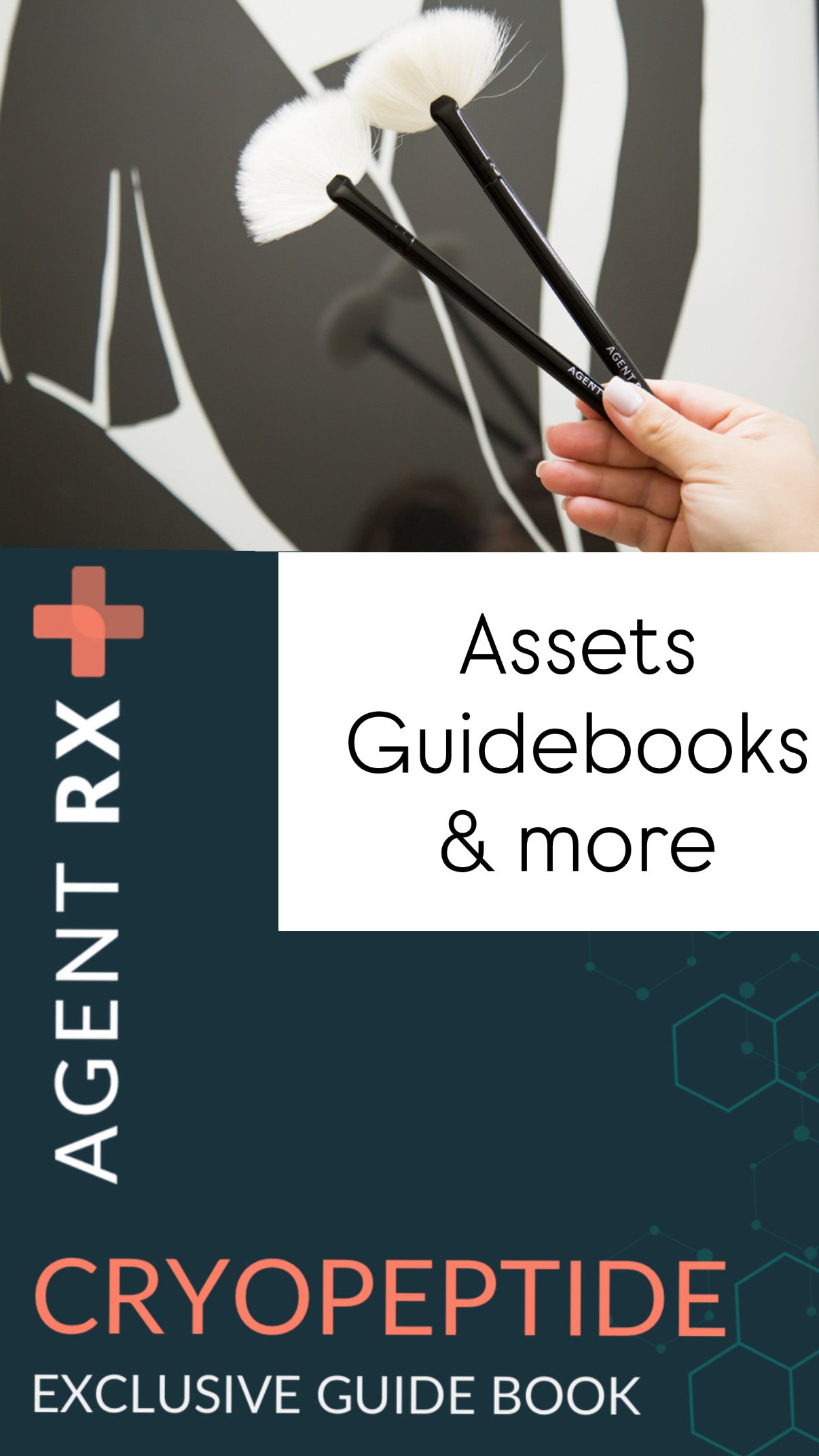 FREE Marketing Assets, Education + More